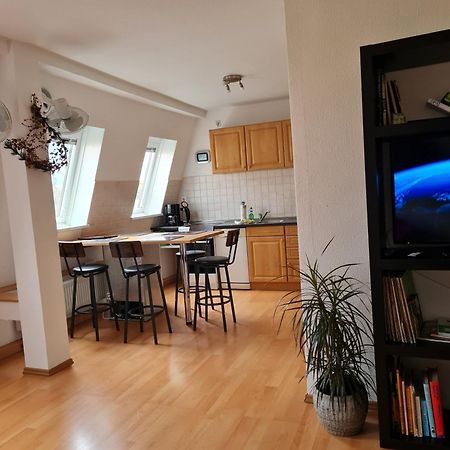 Stadtflitzerbude Apartment Dresden Ngoại thất bức ảnh